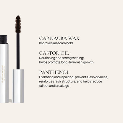The volume mascara 6
