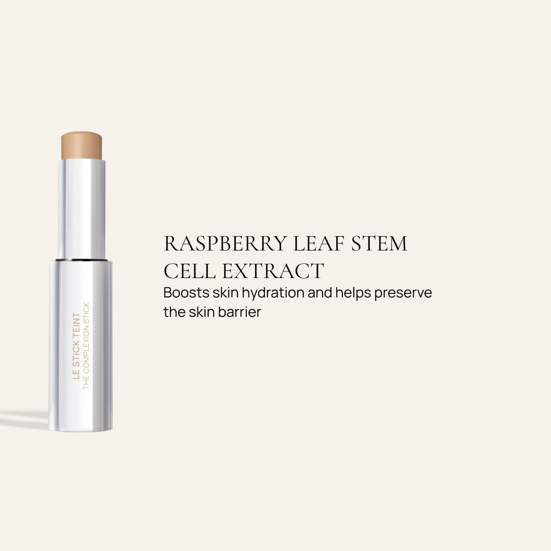 The Complexion stick 