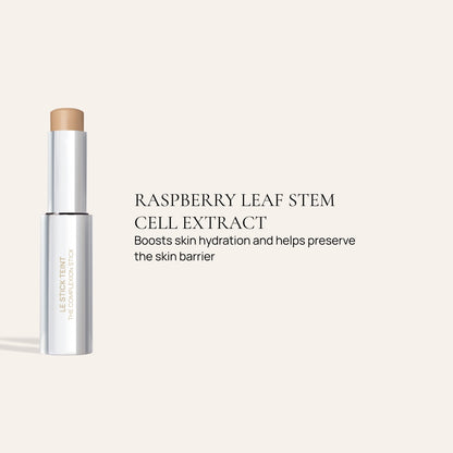 The Complexion stick 7
