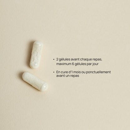 Digestion and anti-bloat supplement, Gut Flow™
