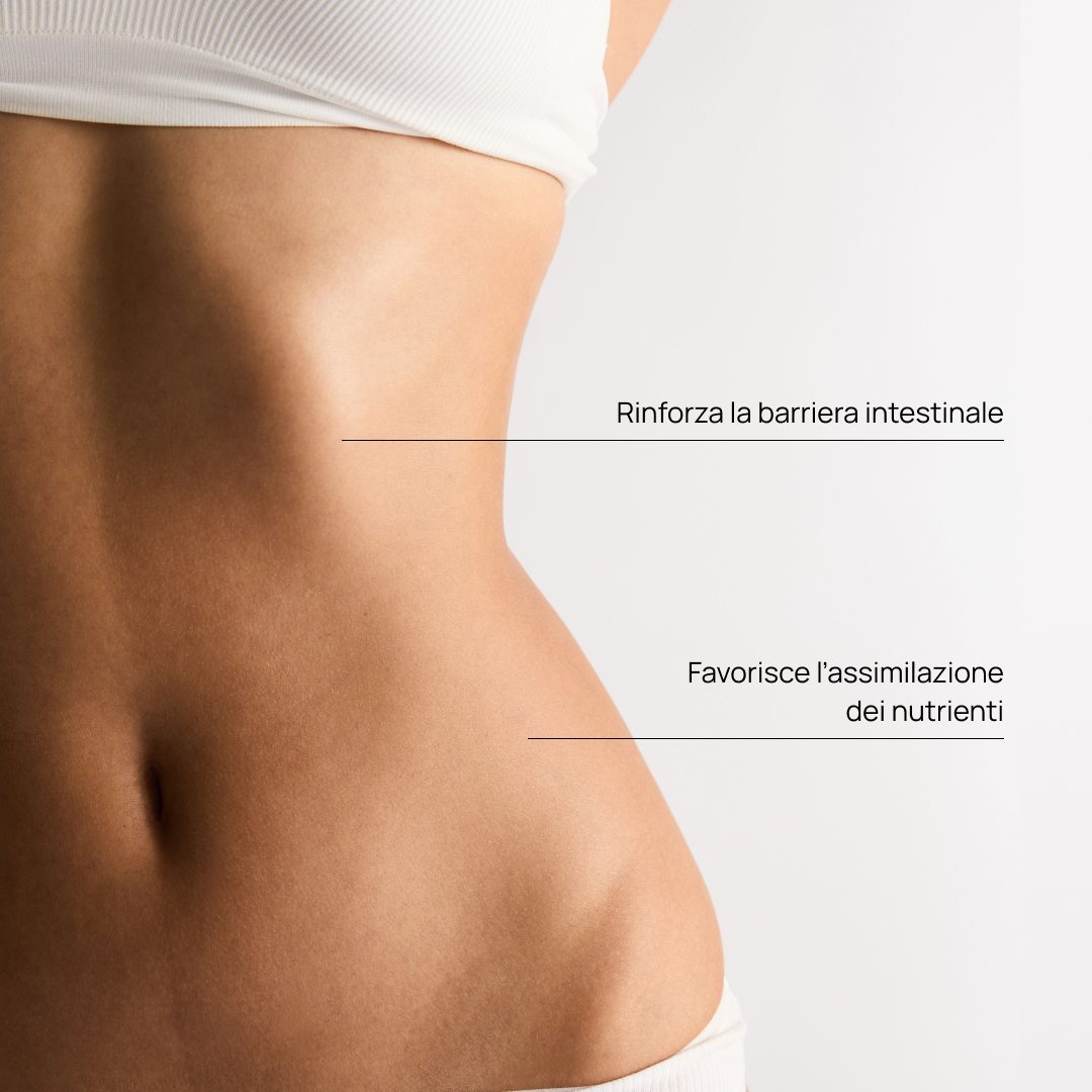 Trio Integratore alimentare per la porosità intestinale, Barrier+™ 