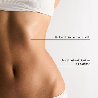 Trio Integratore alimentare per la porosità intestinale, Barrier+™ 11