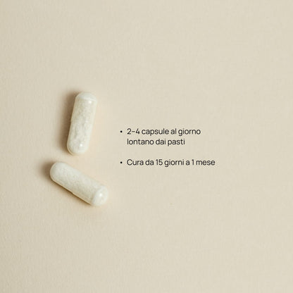Trio Integratore alimentare per la porosità intestinale, Barrier+™ 13