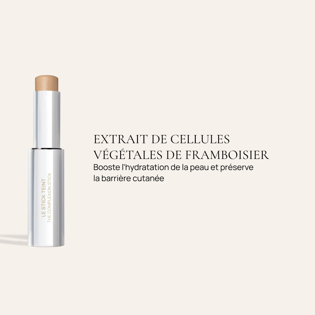 Le duo Stick teint & Pinceau 