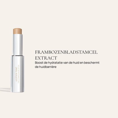 The complexion stick & kwast duo 9